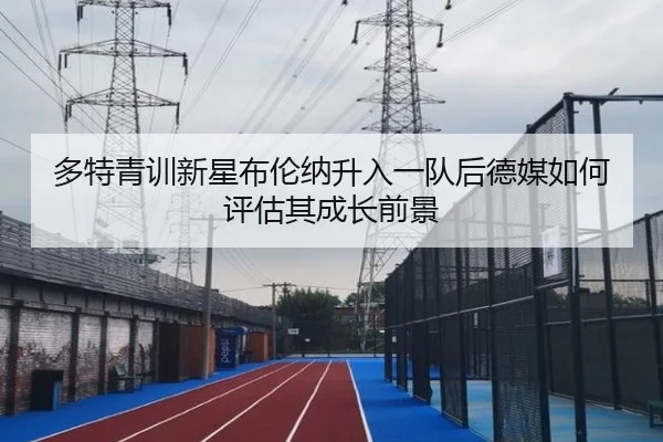 多特青训新星布伦纳升入一队后德媒如何评估其成长前景