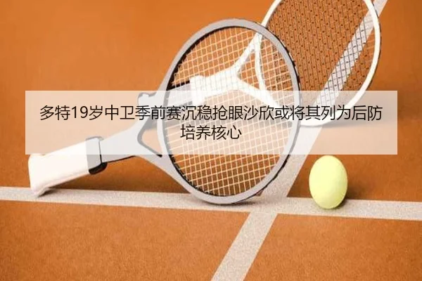 多特19岁中卫季前赛沉稳抢眼沙欣或将其列为后防培养核心
